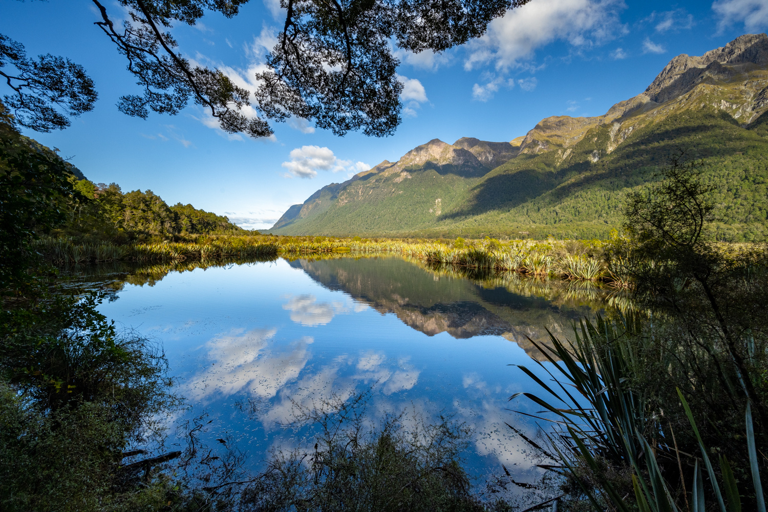 Mirror Lake