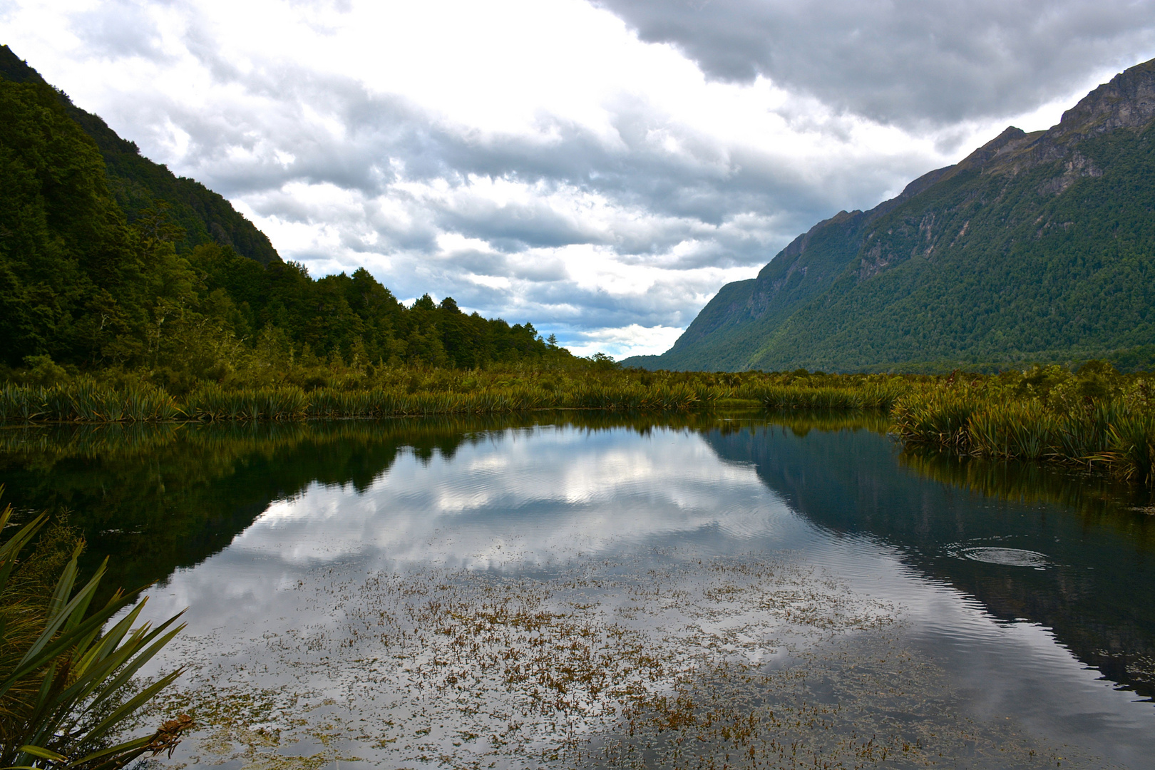 Mirror Lake