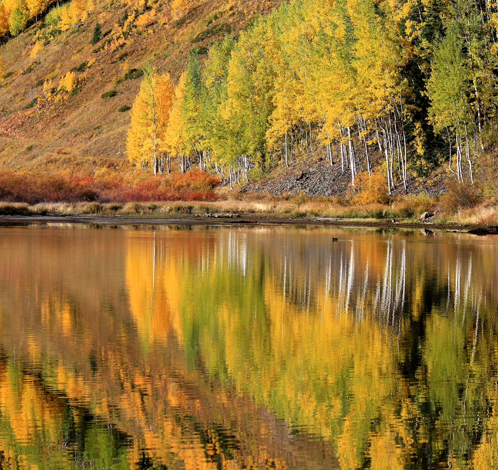 Mirror Lake