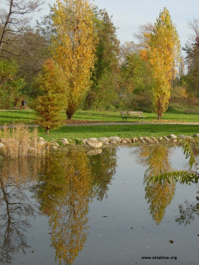 Mirror lake