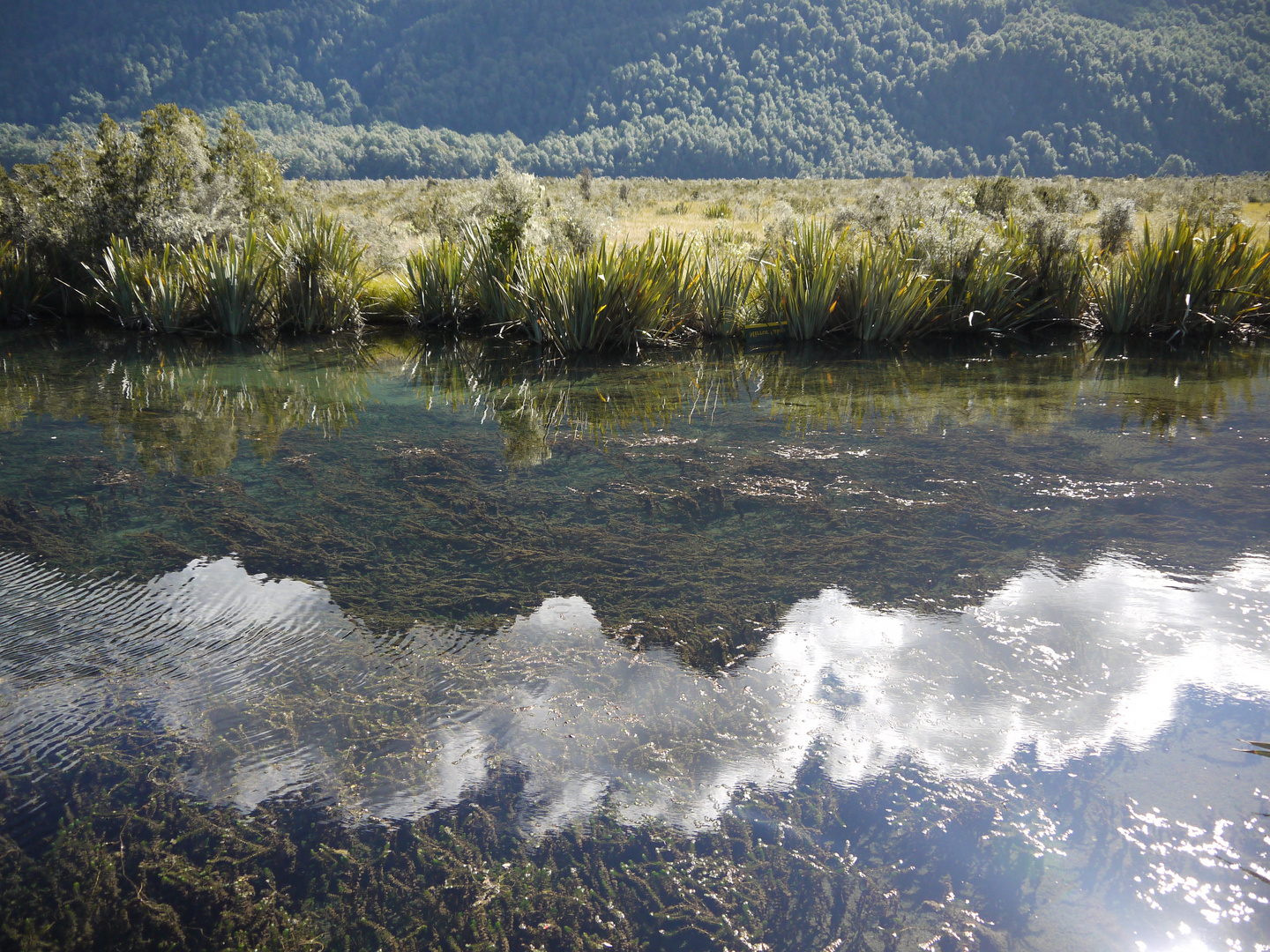 Mirror Lake in NZ