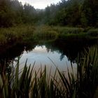 Mirror Lake nach abendlichem Regen