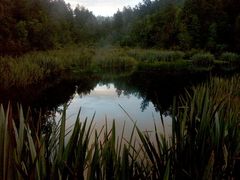 Mirror Lake nach abendlichem Regen