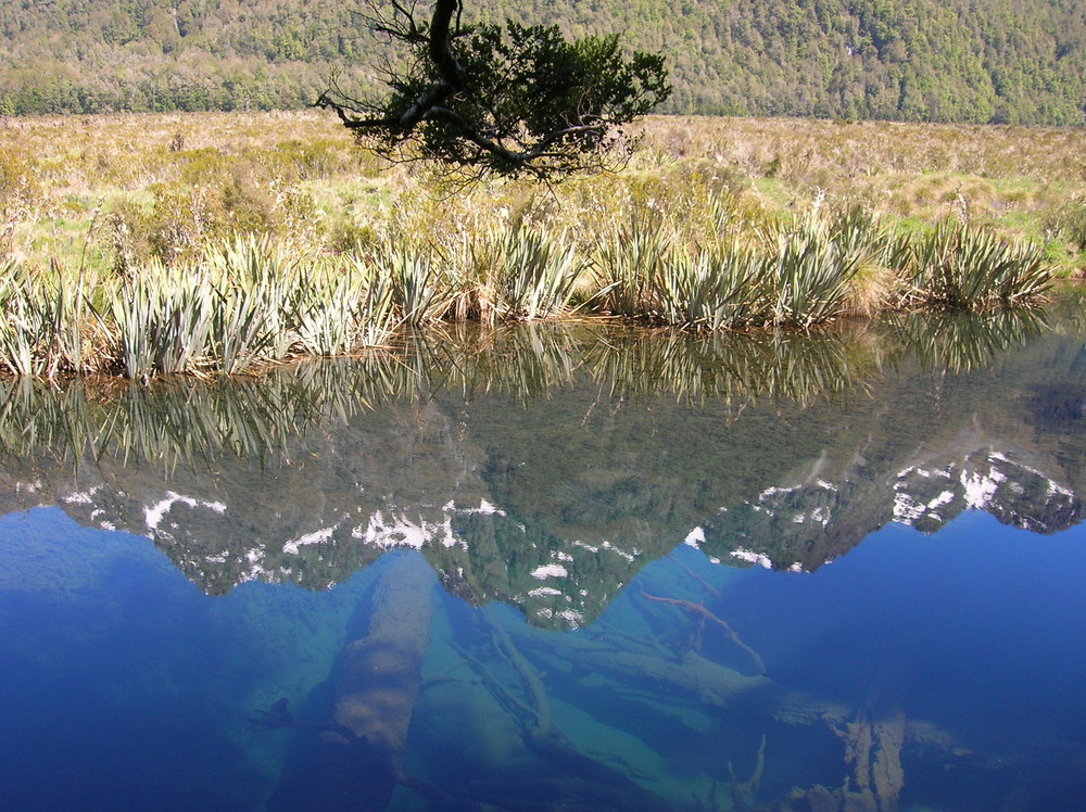 Mirror Lakes