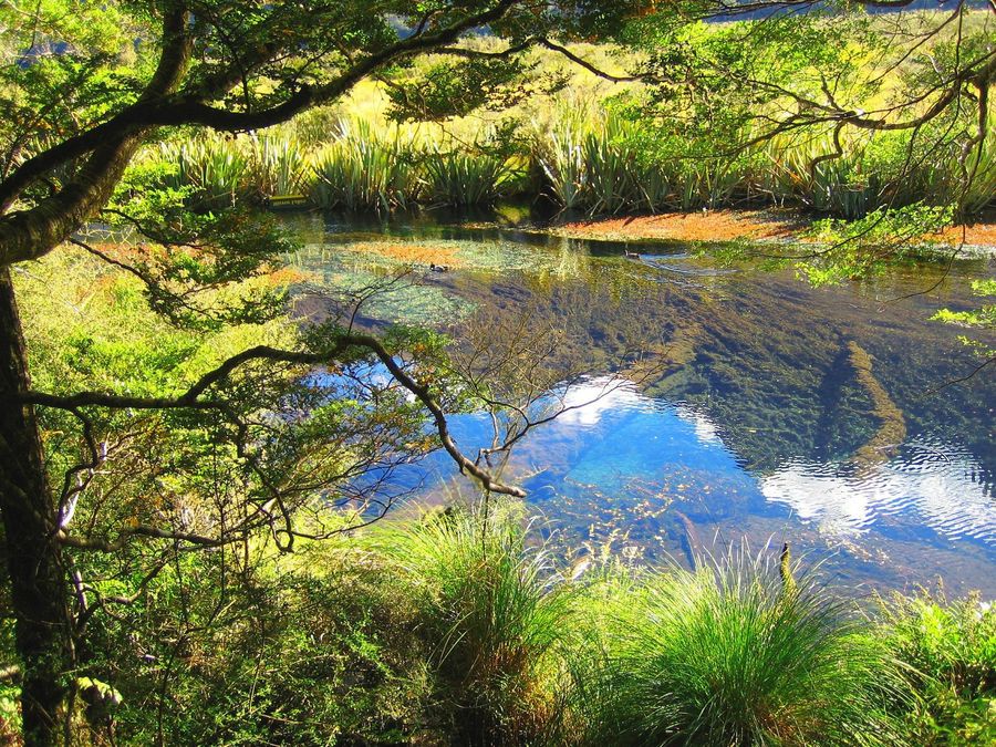 Mirror Lakes