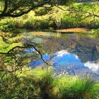 Mirror Lakes