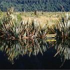 Mirror Lakes