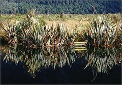 Mirror Lakes