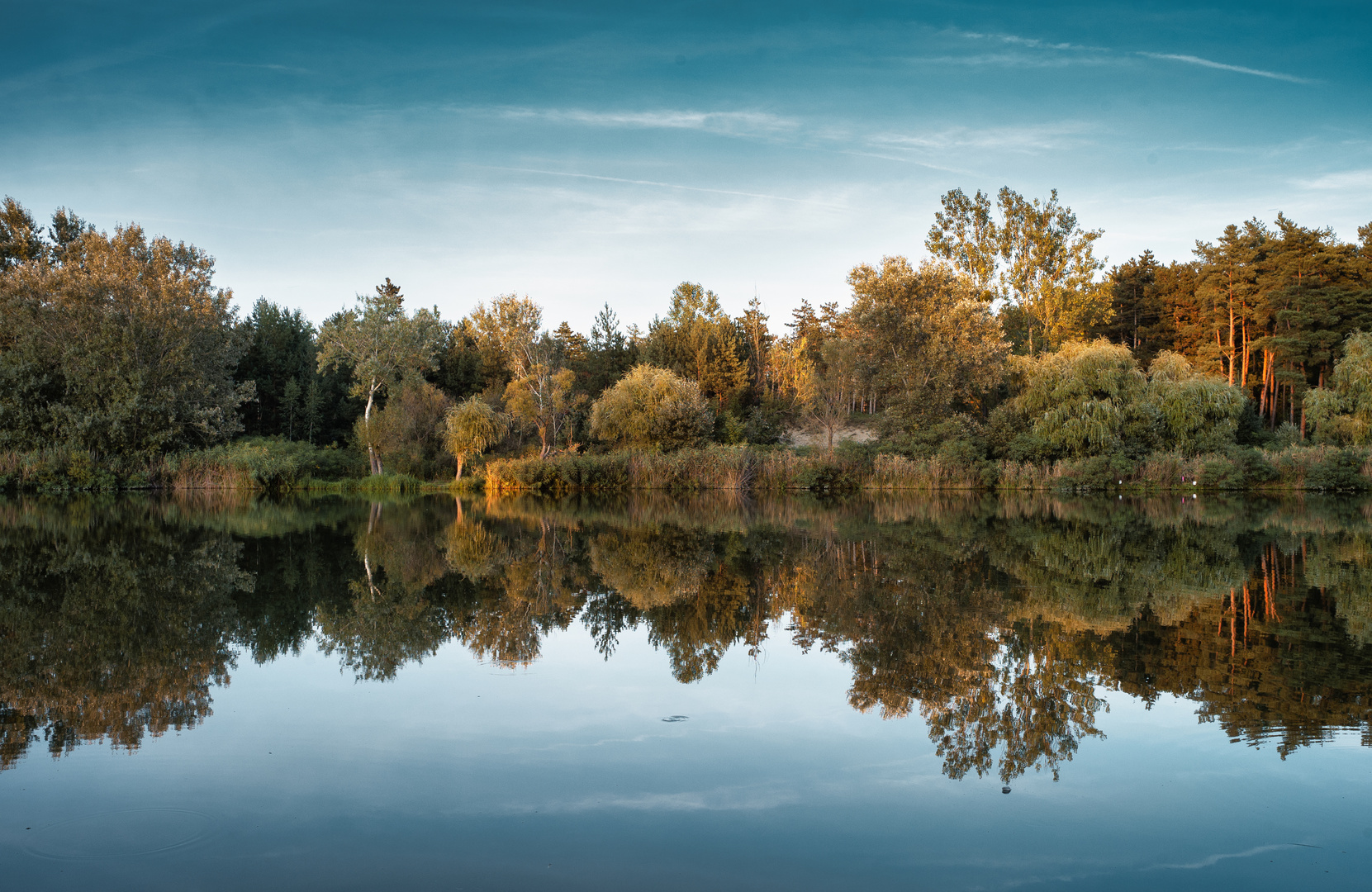 Mirror of Green