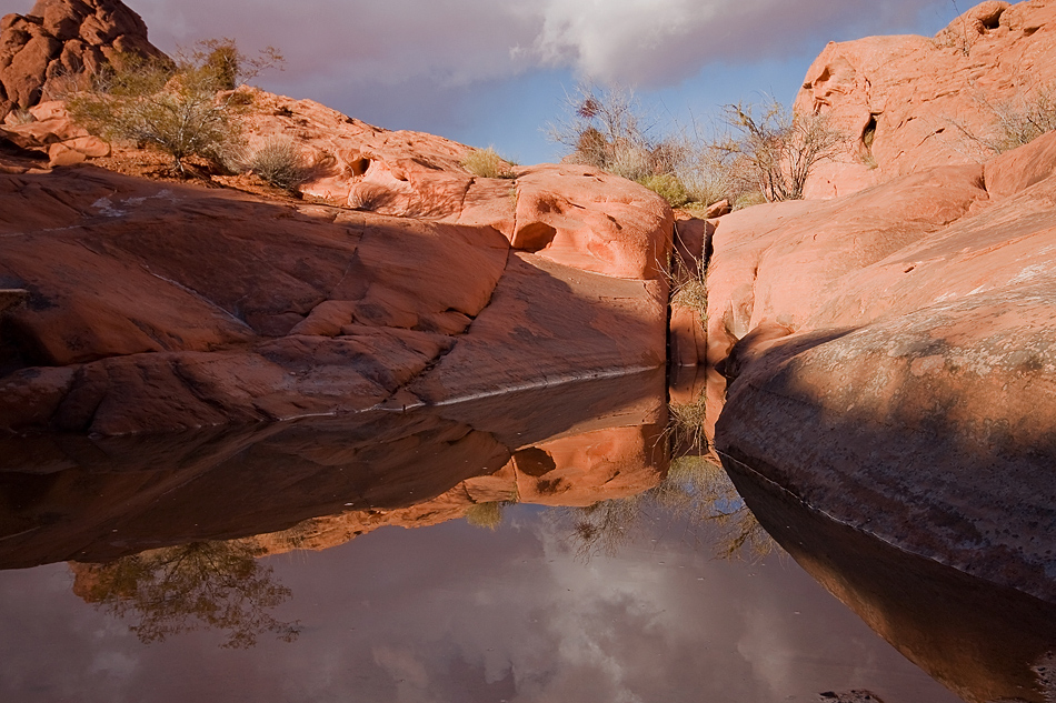 mirror of nature