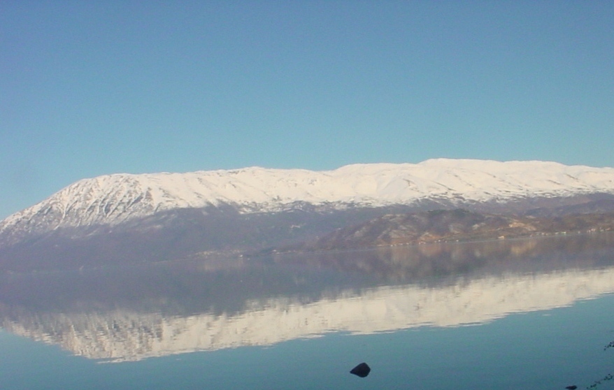 Mirror on the lake