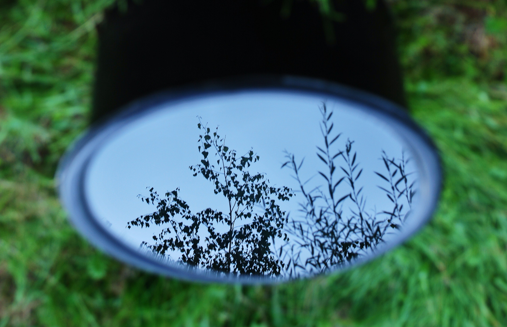 mirror reflexion
