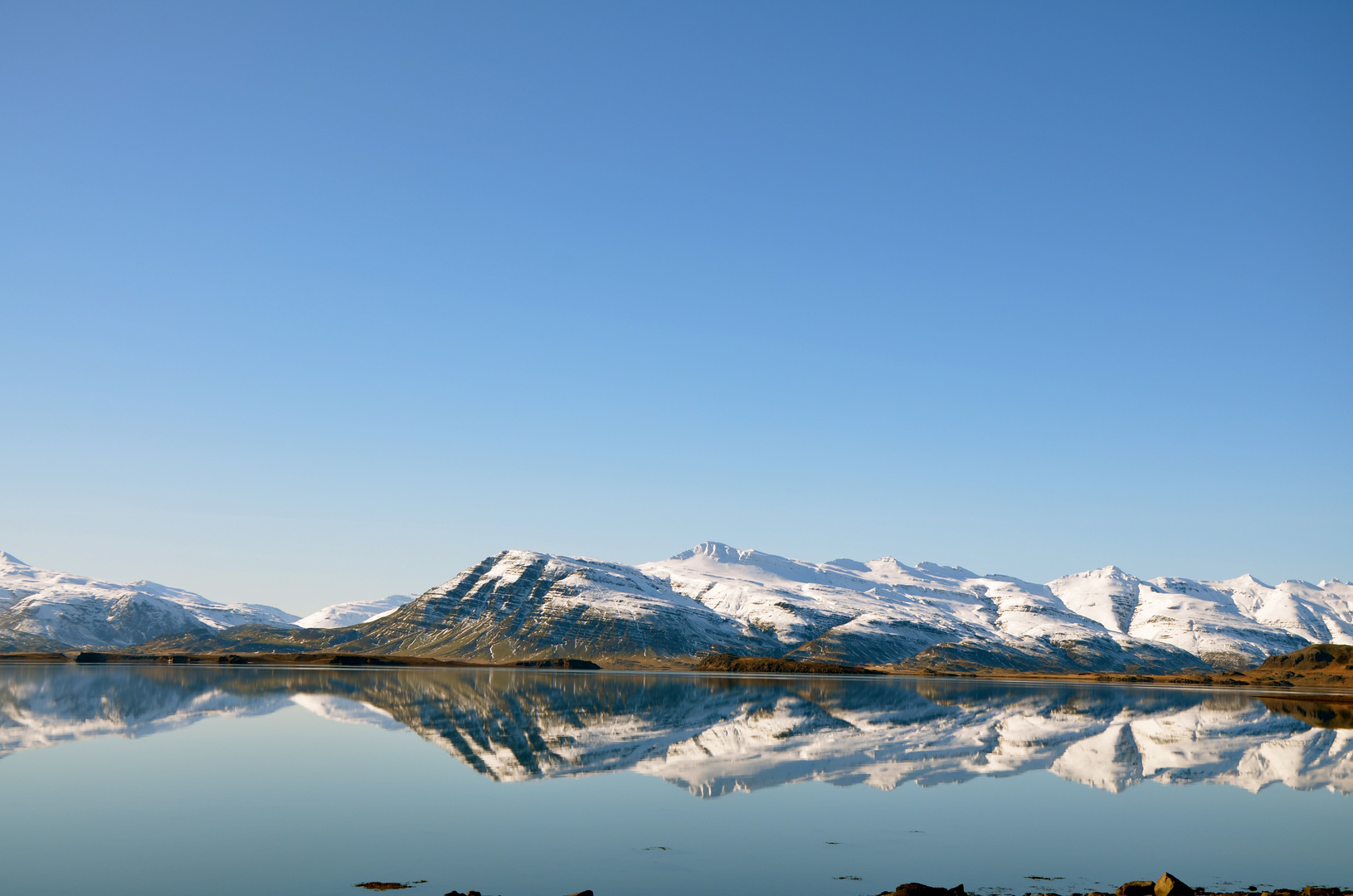 Mirror view