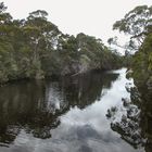 Mirror view to the Hellyer River