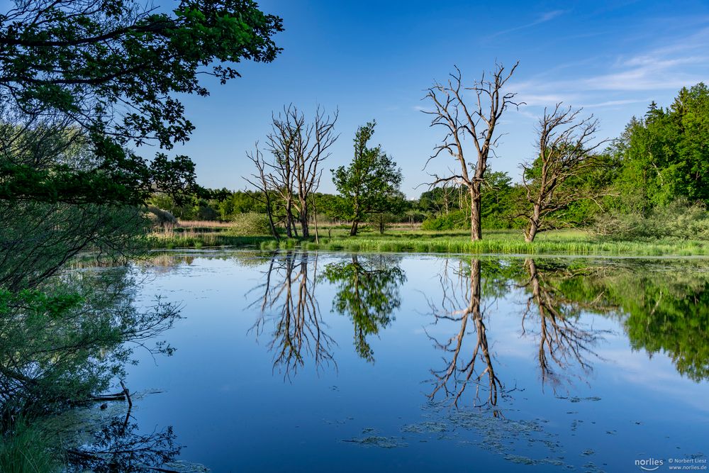 mirror water