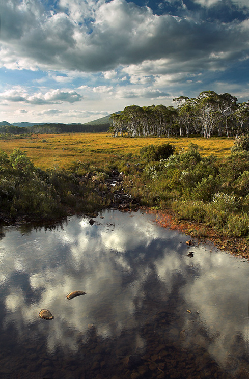 ~ Mirrored ~