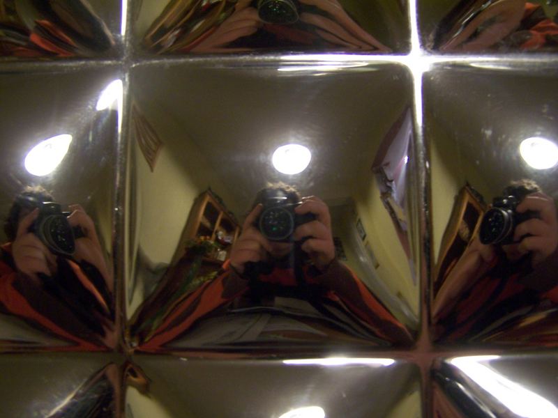 mirrored self portrait