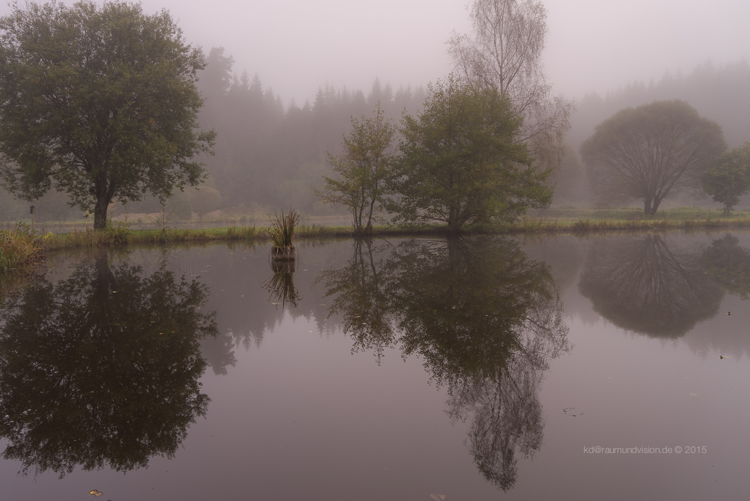 Mirrored Silence