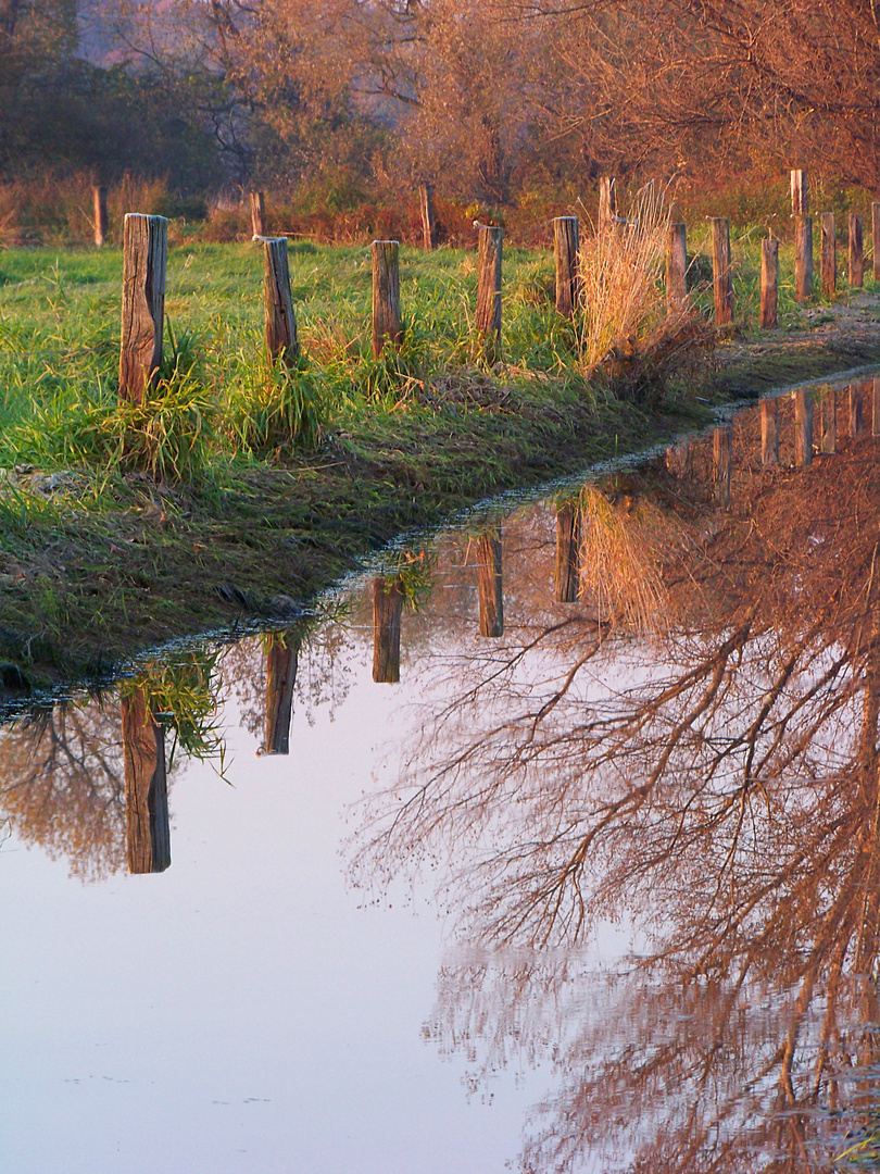 Mirrorfloor