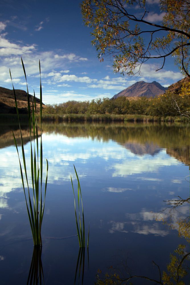 MirrorLake