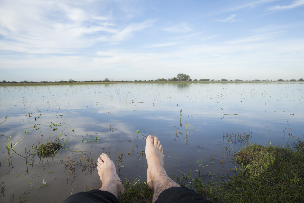 mis pies - serie : litoral Aregntino -