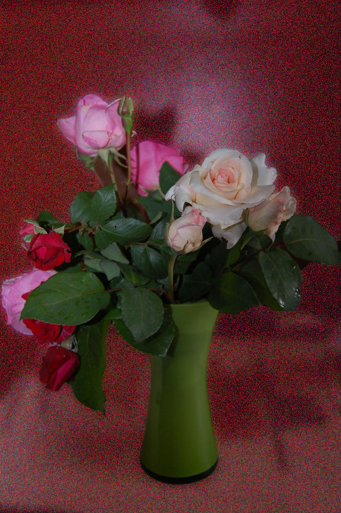 mis rosas