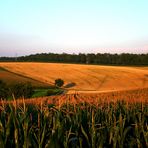 Mischfelder vor Sonnenuntergang