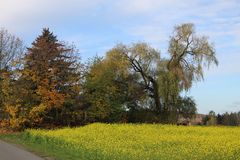 Mischung von Herbst und Frühjahr am 04.11.2020