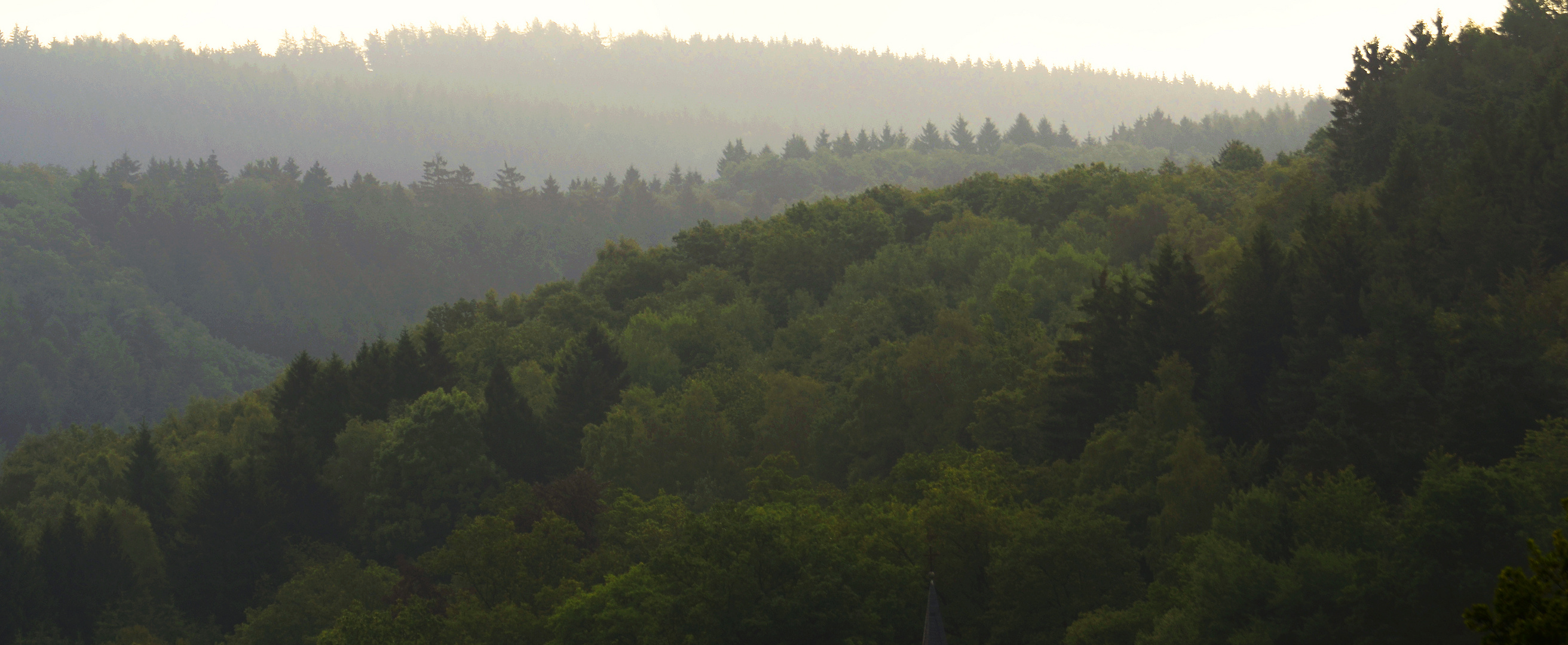 Mischwald auf Hügeln des Sauerlandes