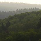 Mischwald auf Hügeln des Sauerlandes