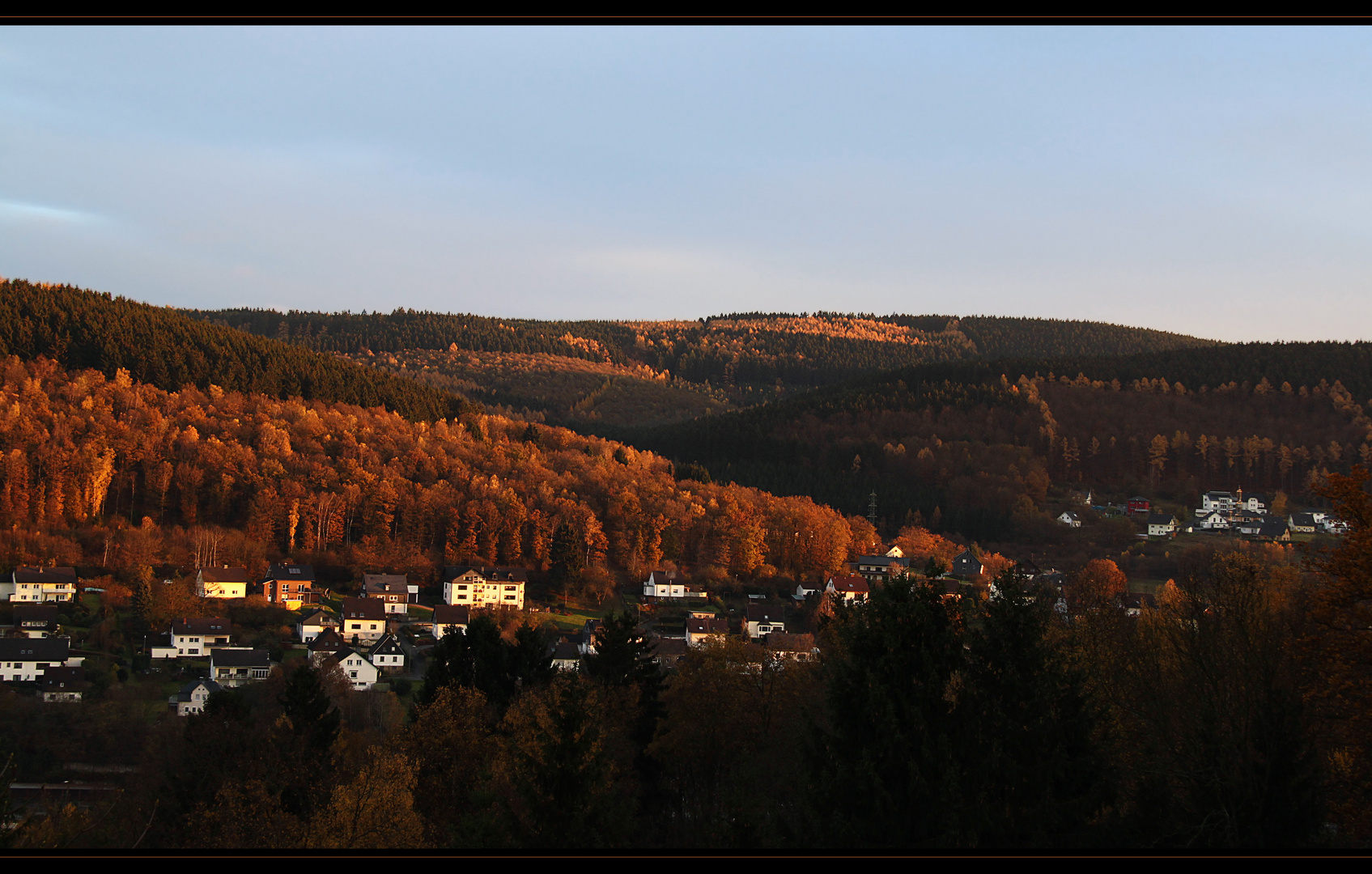 Mischwald im Herbst