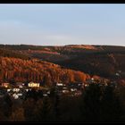 Mischwald im Herbst