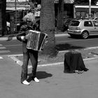 Miseria e Nobiltà BW