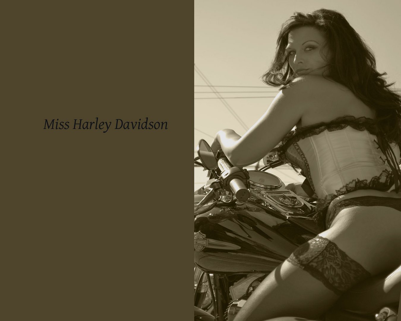 Miss Harley Davidson