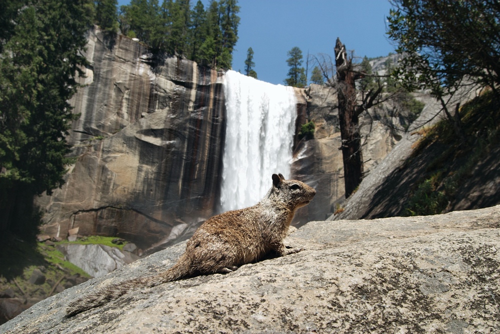 Miss Yosemite 2008