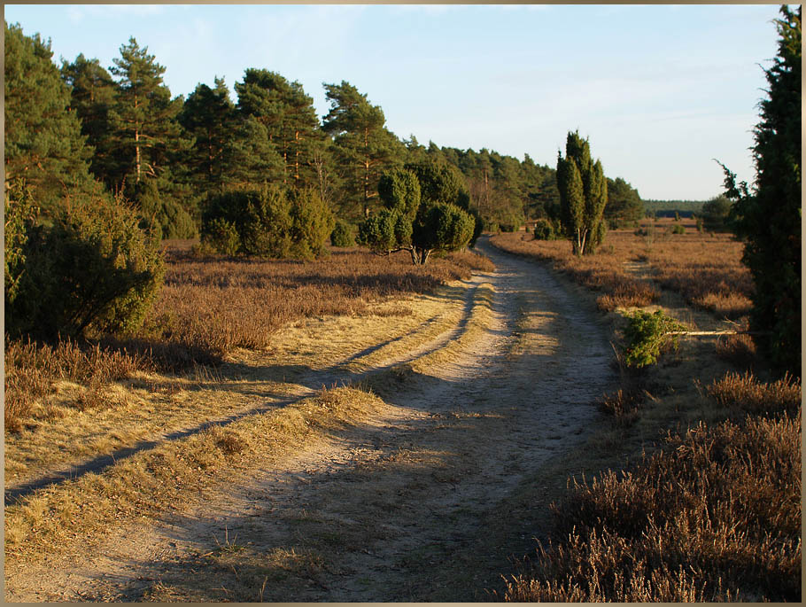 Misselhorner Heide