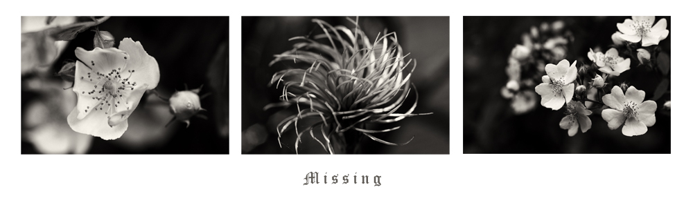 MISSING.