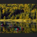 Mississagi Provincial Park 3-D