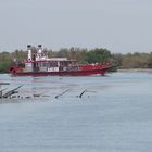 Mississipi ? Non ! Camargue !