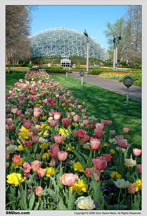 Missouri Botanical Garden - Saint Louis