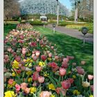 Missouri Botanical Garden - Saint Louis