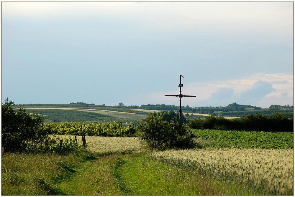 Mißtrauischer Blick zum Himmel