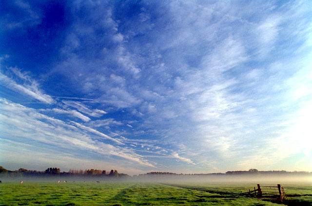 mist about the fields