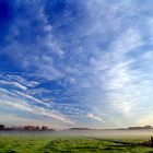 mist about the fields