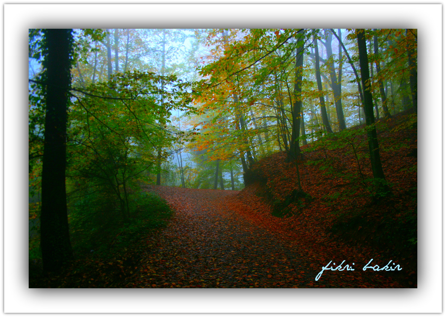 mist and autumn.