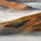 Mist and sunshine greeted the fields of Tuscany II