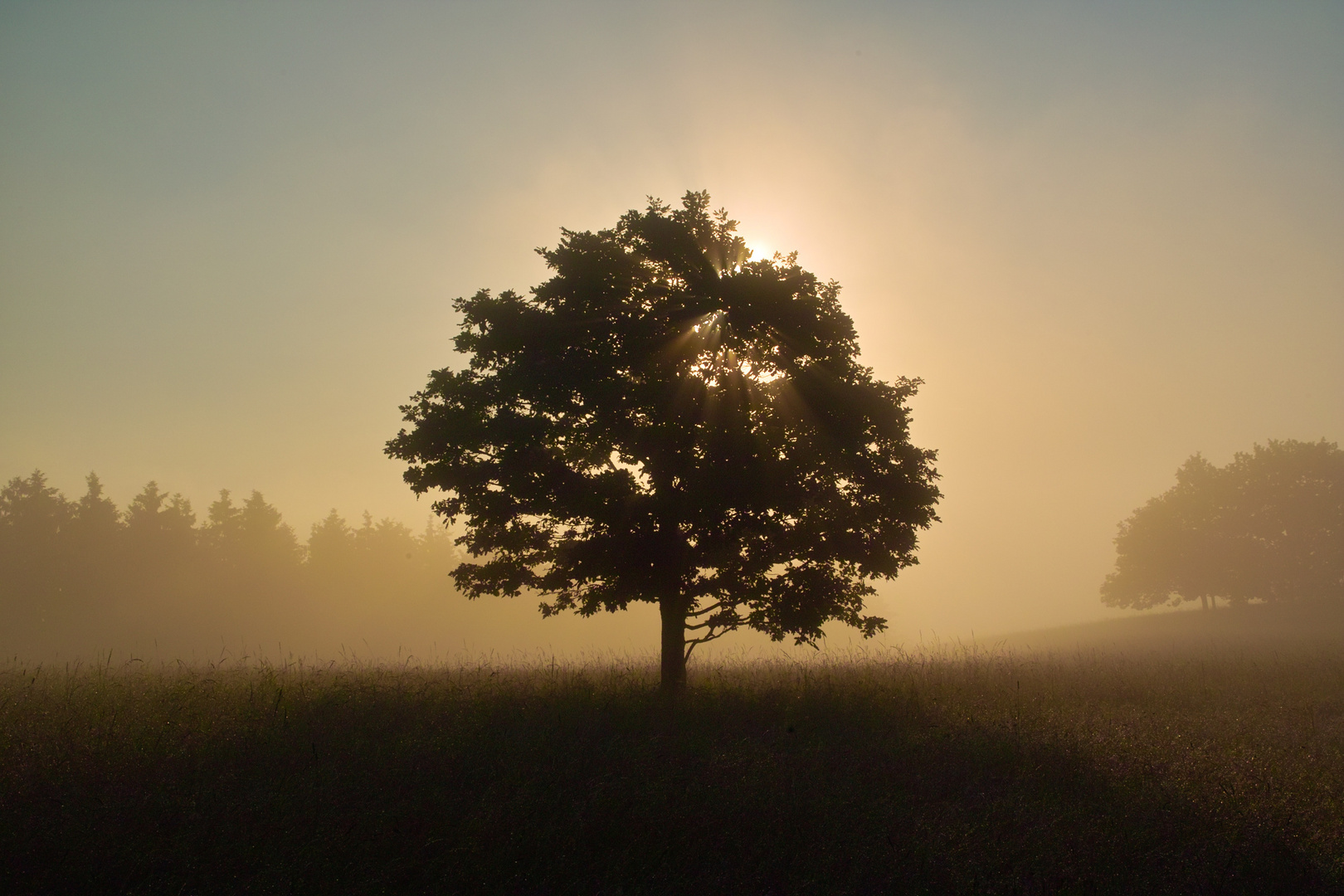 Mist at Kotteme