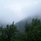 Mist in one of the villages of Georgia