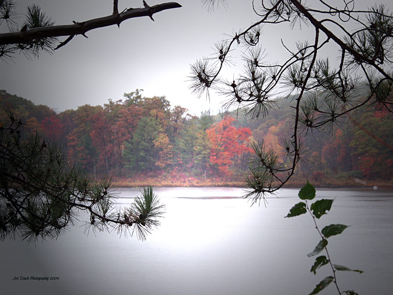 Mist in the Fall