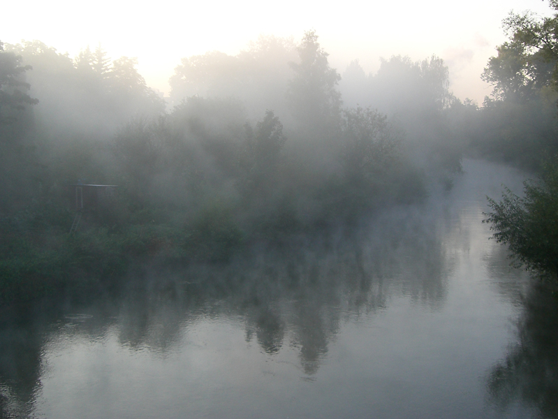 Mist in the morning - 1